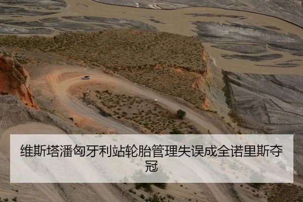 维斯塔潘匈牙利站轮胎管理失误成全诺里斯夺冠