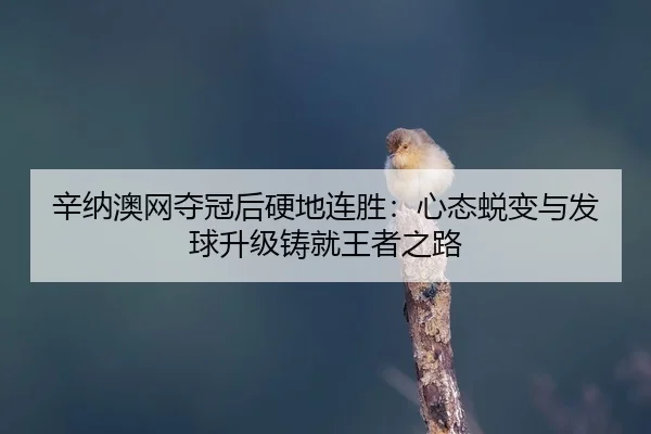 xin-na-ao-wang-duo-guan-hou-ying-di-lian-sheng-xin-tai-tui-bian-yu-fa-qiu-sheng-ji-zhu-jiu-wang-zhe-zhi-lu-2-671.jpg