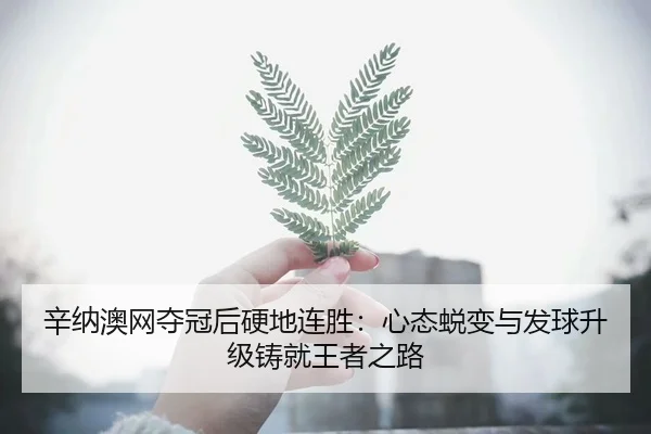 xin-na-ao-wang-duo-guan-hou-ying-di-lian-sheng-xin-tai-tui-bian-yu-fa-qiu-sheng-ji-zhu-jiu-wang-zhe-zhi-lu-3-522.jpg